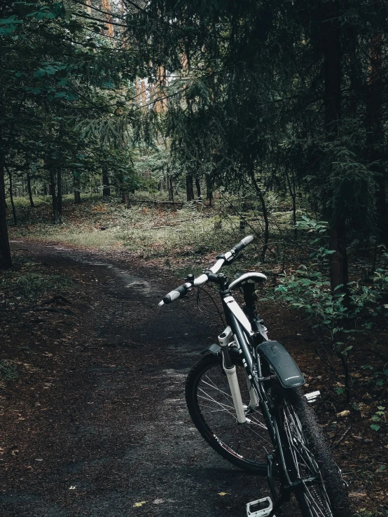 a dirt path and motorbike in the forest