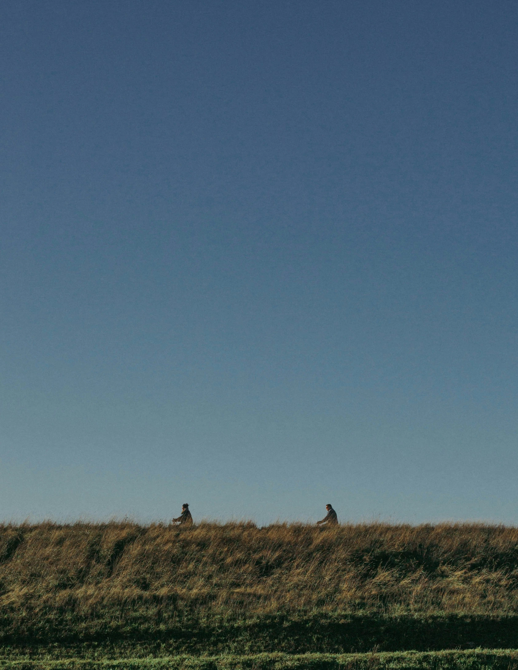 three people in a field under a blue sky