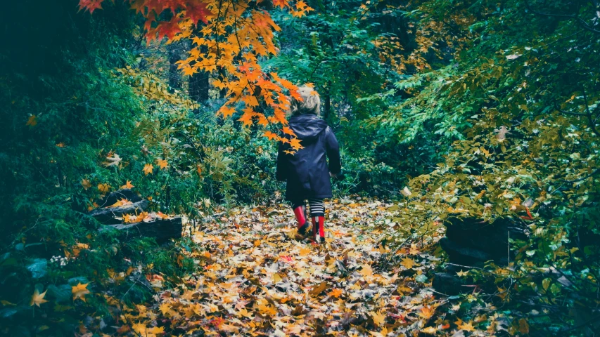 a person in the woods with a umbrella and autumn leaves on the ground