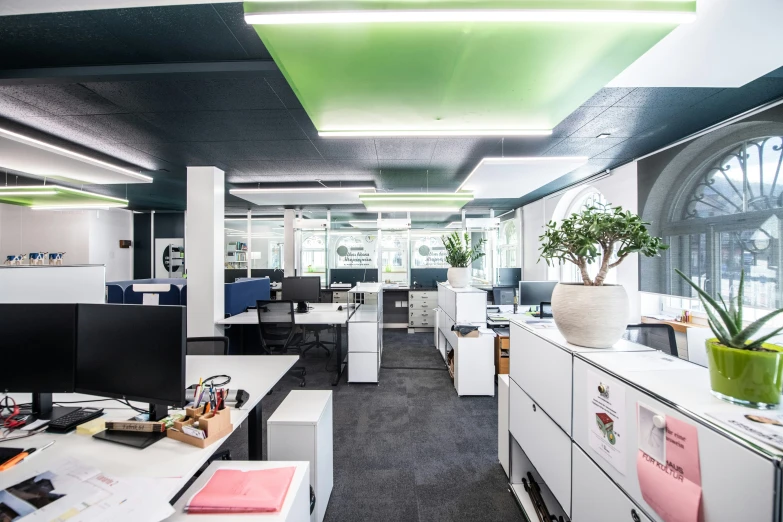 this is an office space with many desks and plants