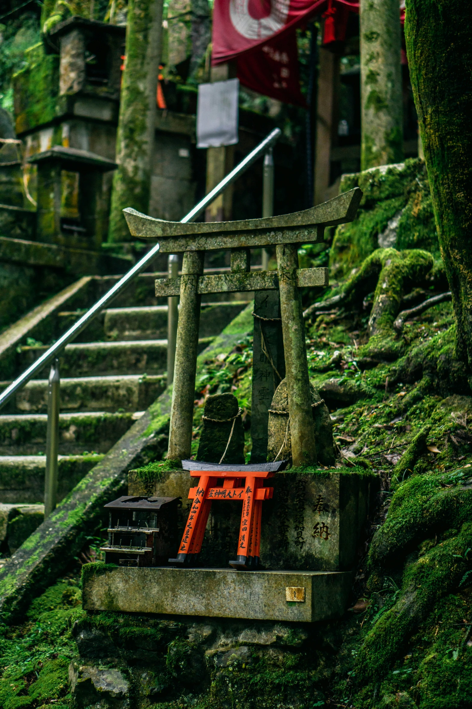 a japanese garden is decorated with moss and umbrellas