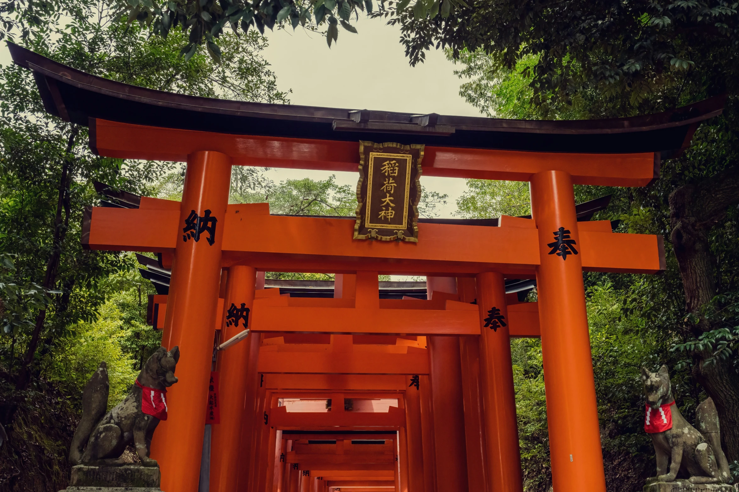 an orange gate leading into a forest