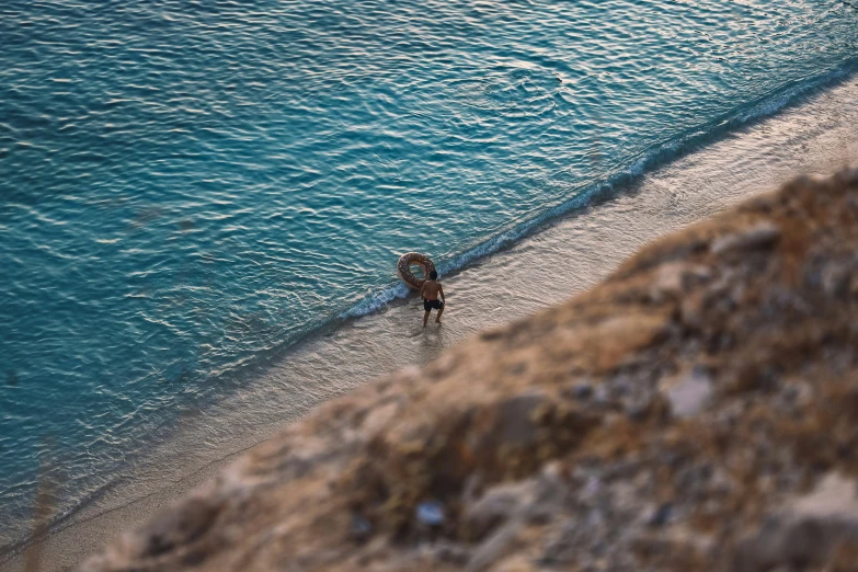 a dog that is standing in the sand