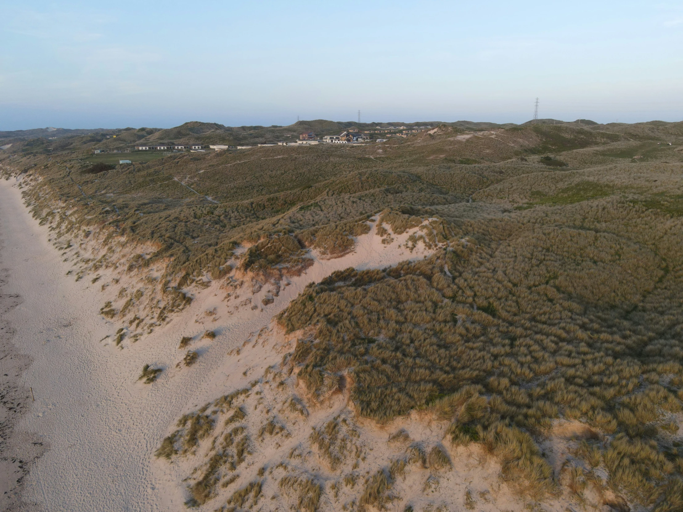 a beach area with trees and sand