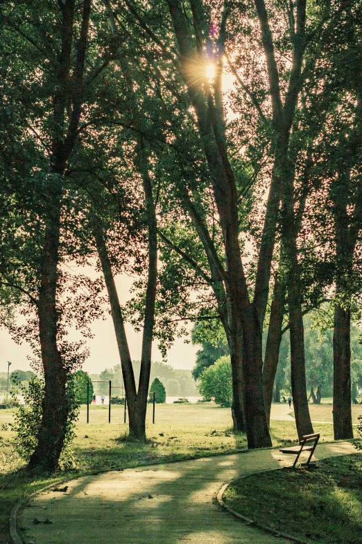 a park bench is covered in lush grass by trees