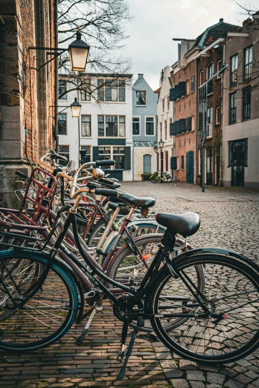 bicycles are lined up and sitting along the cobblestone path