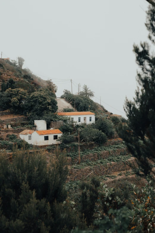 a house with trees and bushes behind it