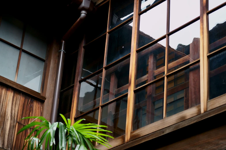 window in wooden building with wood trims and a plant