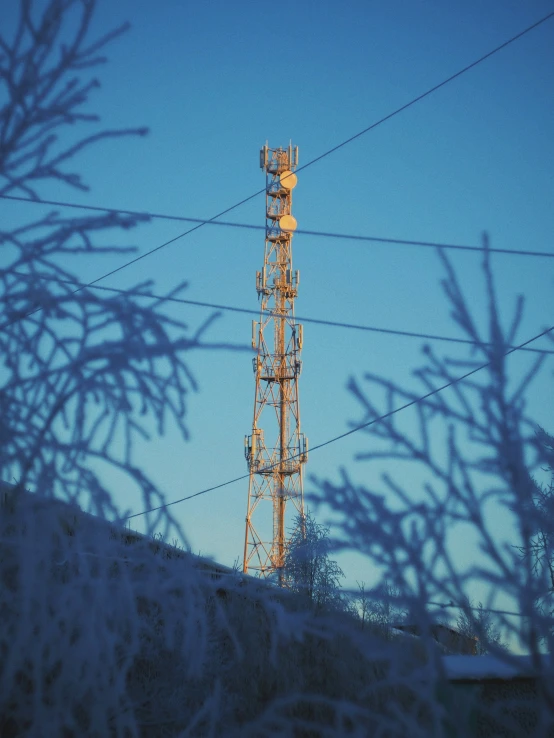 a tower stands at the top of a hill at night