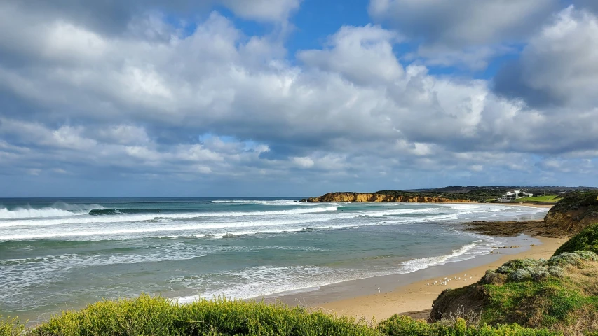 an ocean with green bushes on the shore