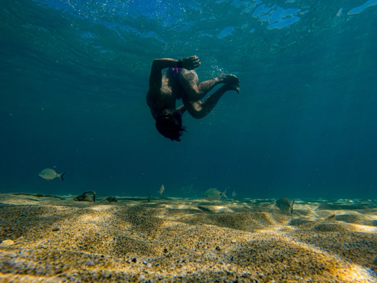 a person swimming in the blue water in the water