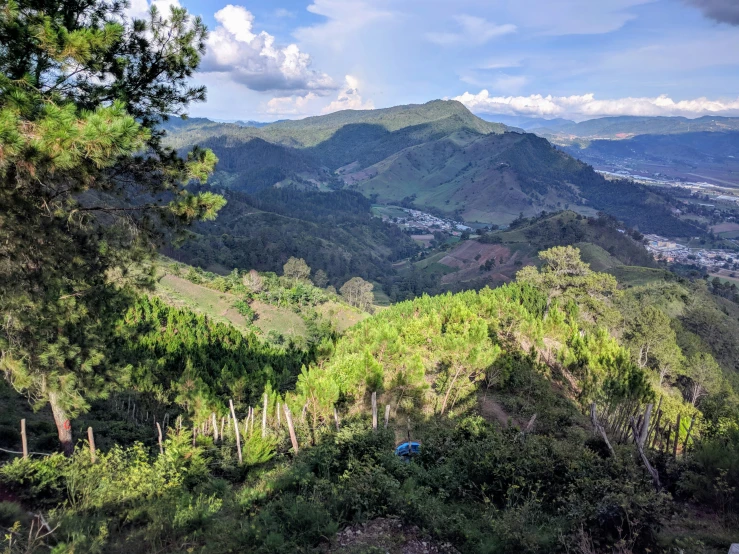 a very scenic looking view of some trees and mountains