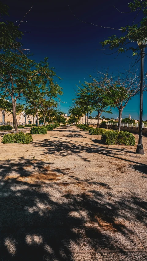 an empty bench is in the park surrounded by trees