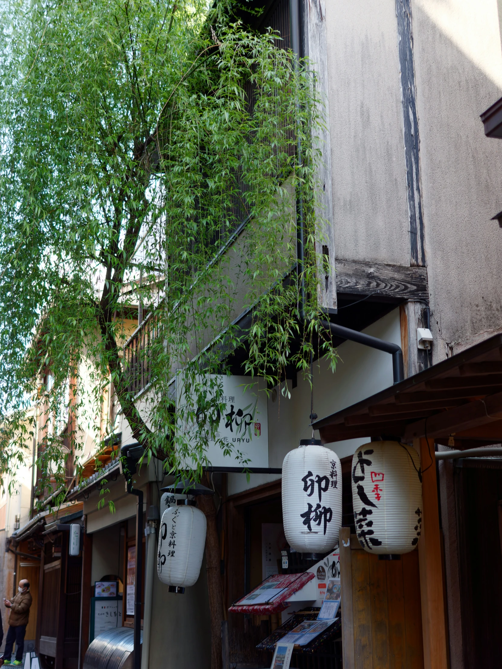 a row of hanging plants in pots outside an asian building