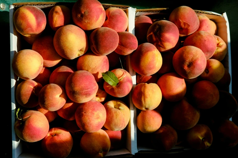 two boxes of peaches sitting on the floor