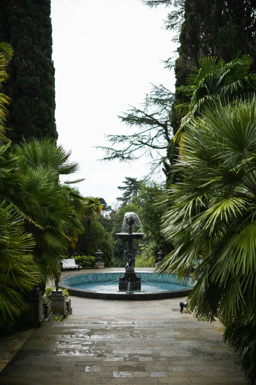a stone path leading to a fountain with palm trees lining the sides