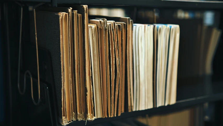 rows of different types of records in a record storage