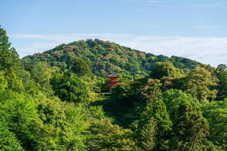 there is a very tall mountain in the woods