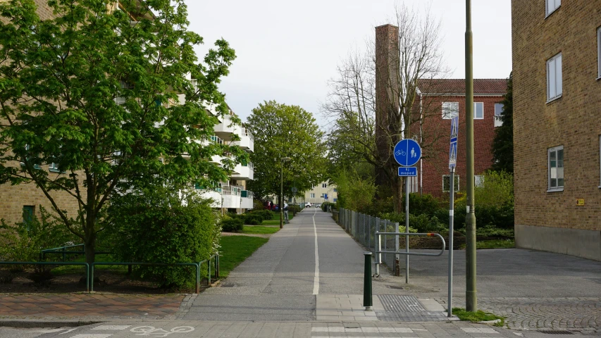 a street with a light post, trees and signposts on both sides of it