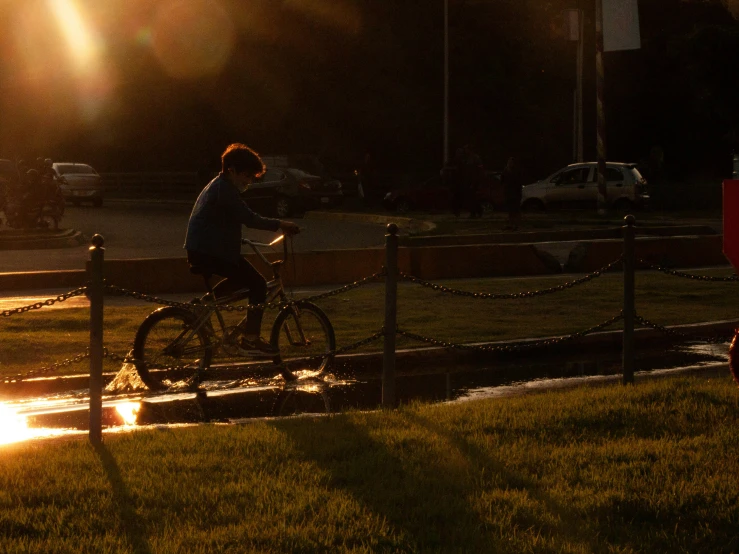 man on bicycle riding through park with the sun behind him