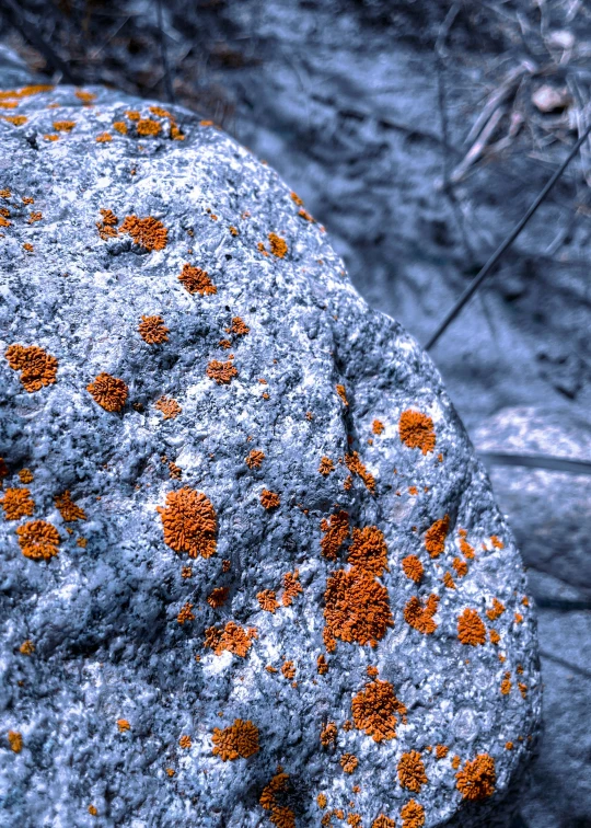 some yellow dots are on the rock outside