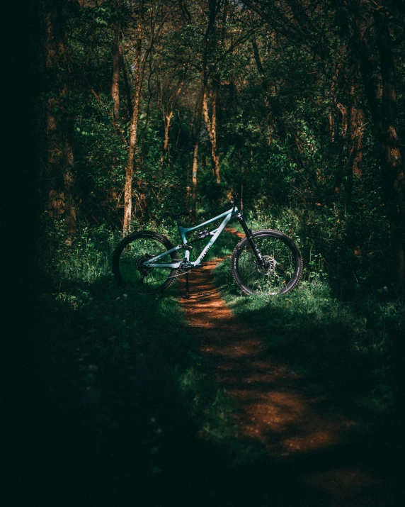 a blue bike parked in the woods on a dirt path