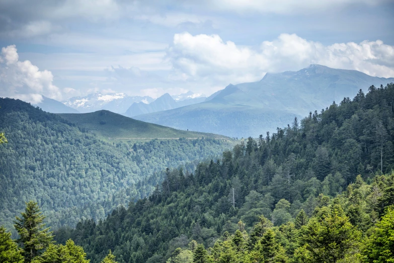 the view of mountains is very green and cloudy