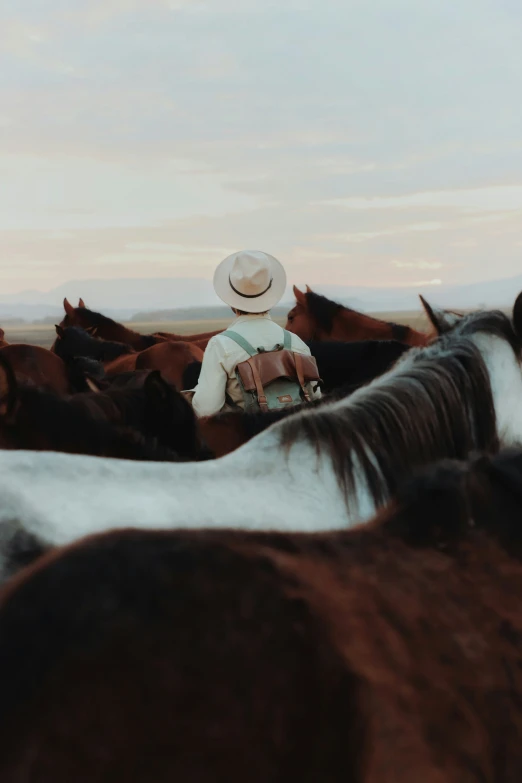 a person that is standing in front of some horses