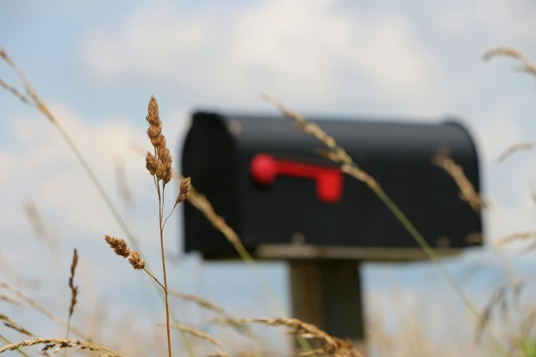 a mailbox on top of a field with grass