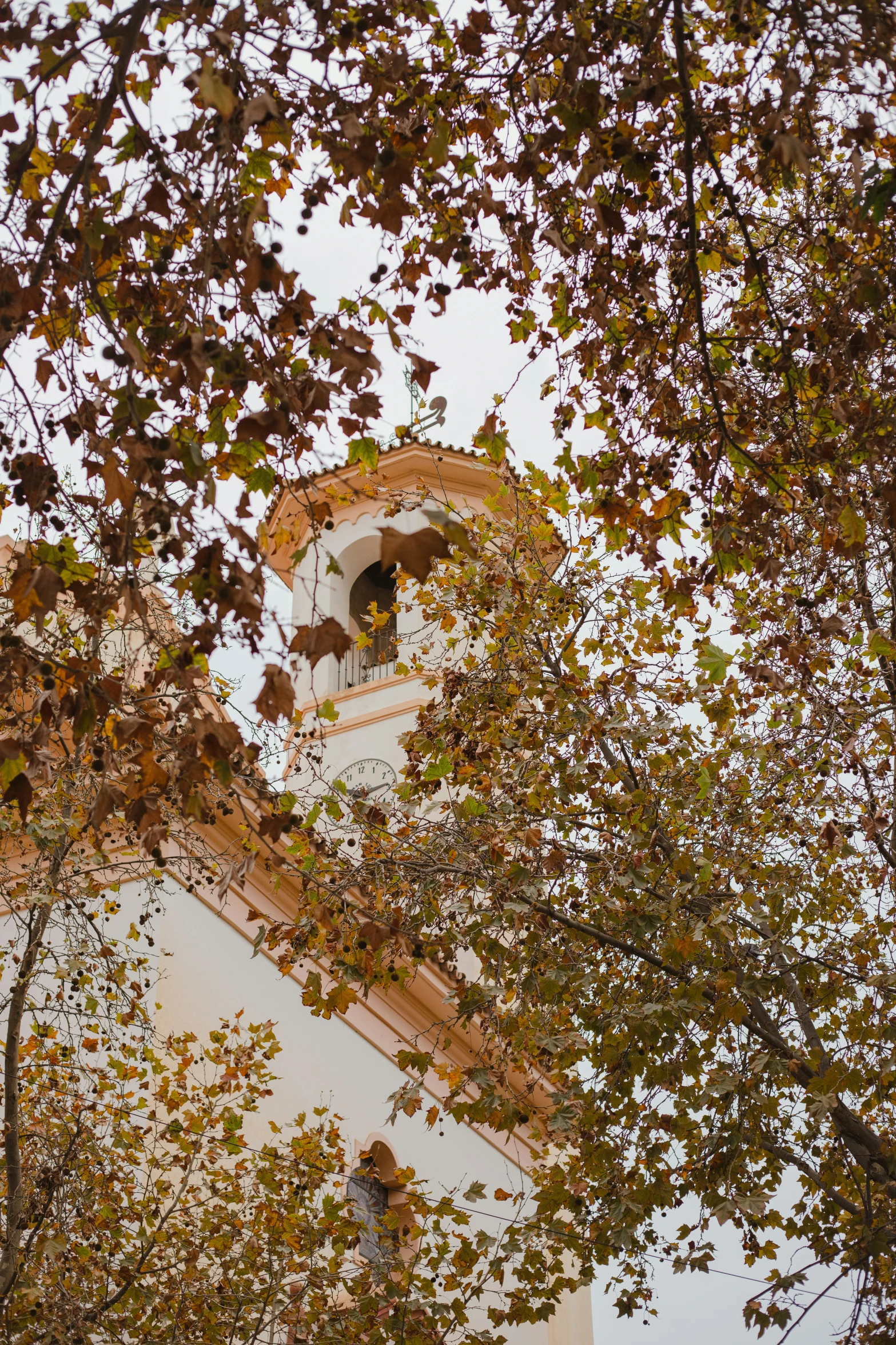 the top of a tower under some trees