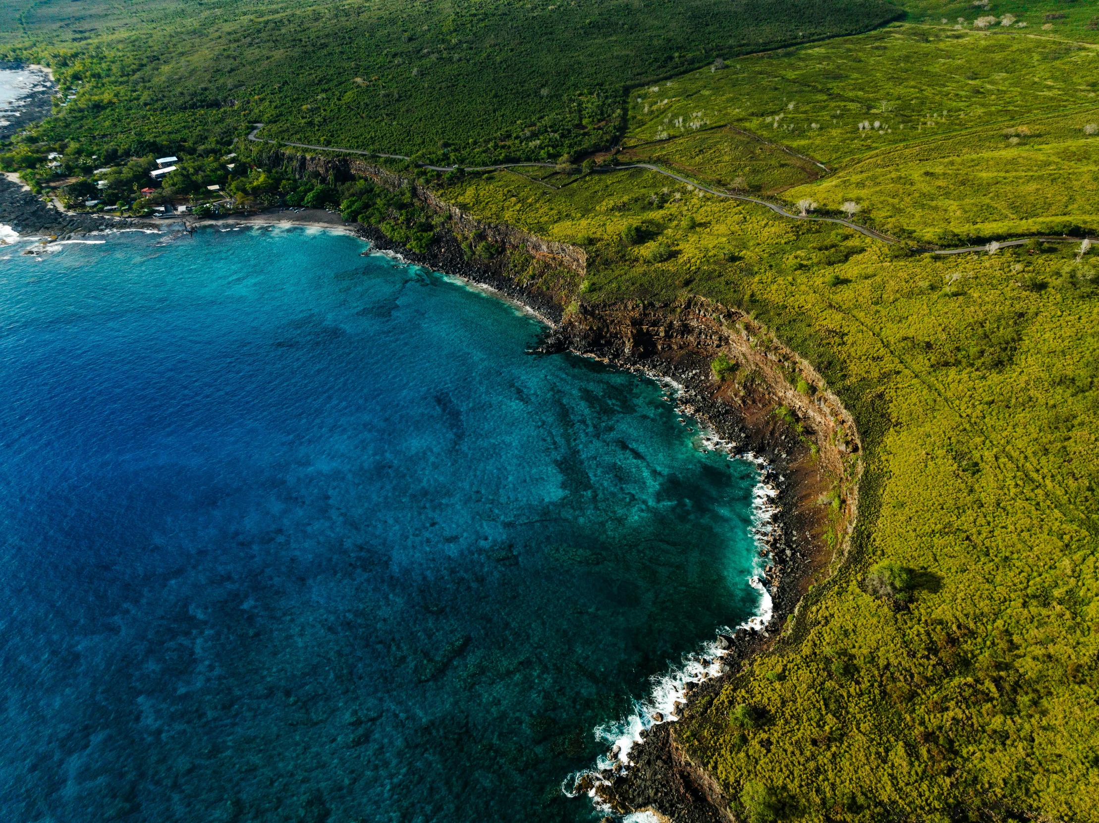 an aerial view of green vegetation and water near the shore