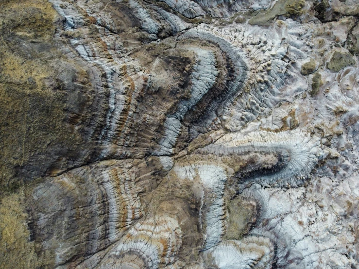 the texture of a carpet of various shades and sizes