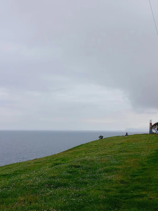 a couple of men walking across a grass covered hillside