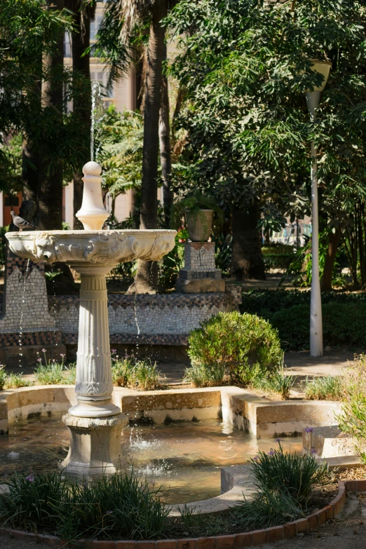 a water fountain surrounded by stone steps, shrubs and trees