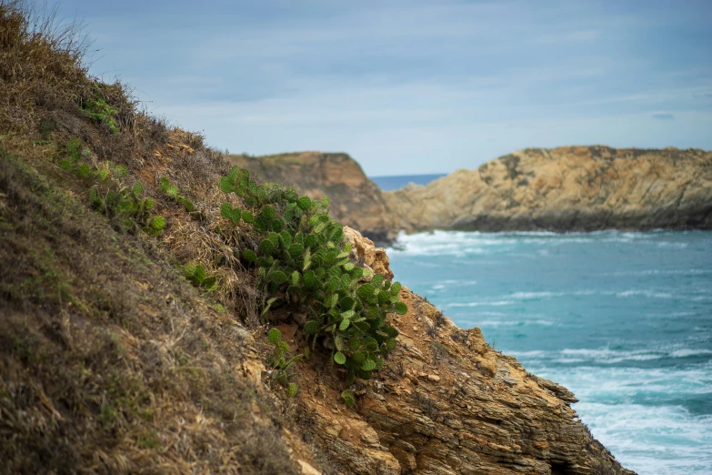 a very close s of an extremely steep hill by the sea