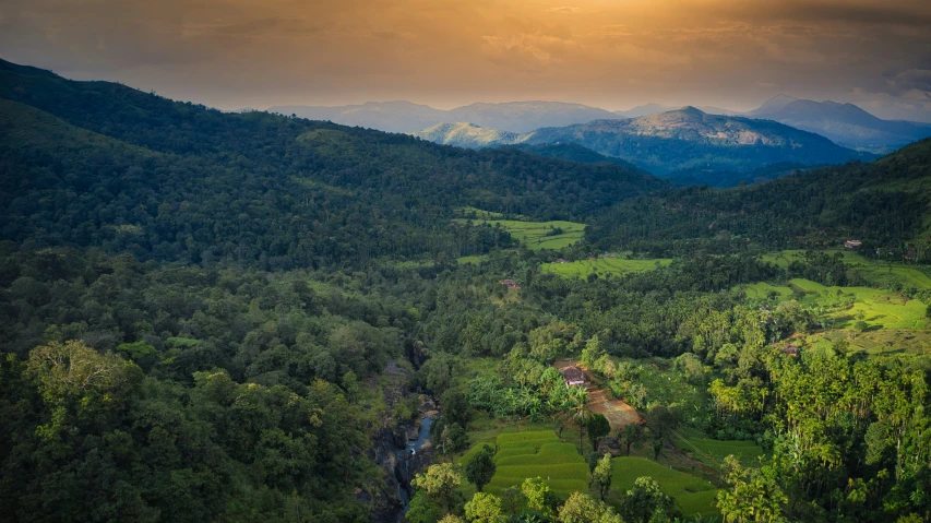 the sun sets over a forested area with hills