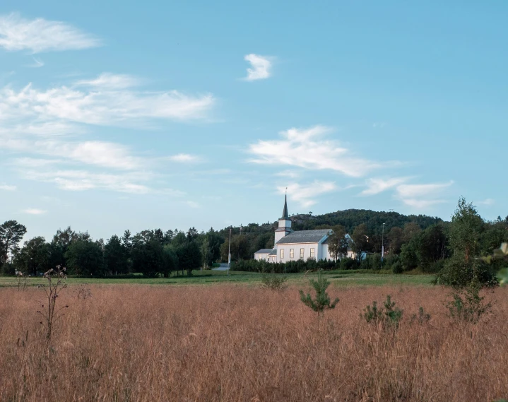 a white building surrounded by tall grass on a clear day