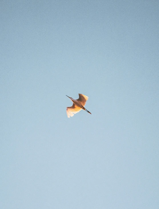 an airplane flying in a clear blue sky