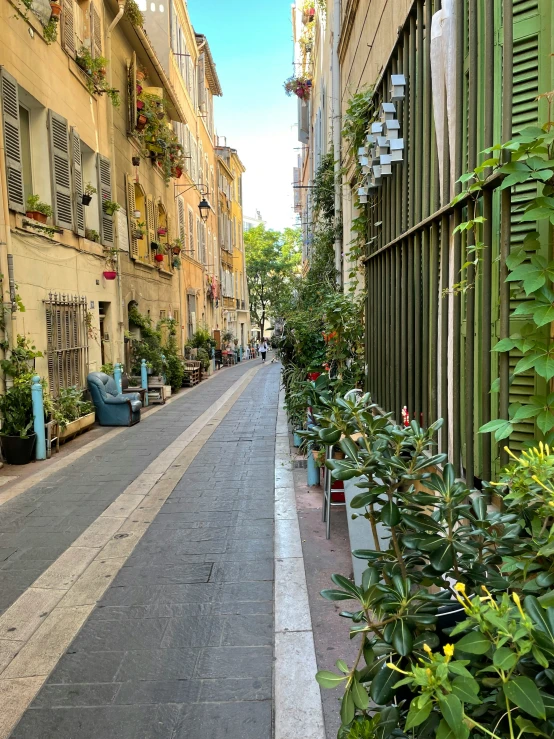 a very narrow and quiet street with lots of plants