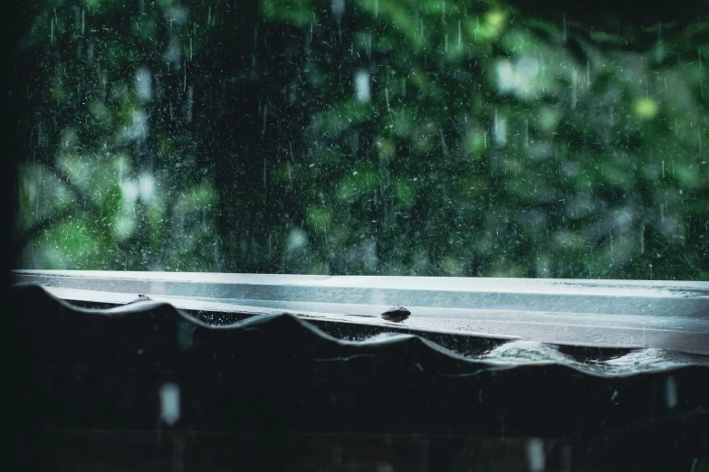 a rain covered window sill with bird sitting on top