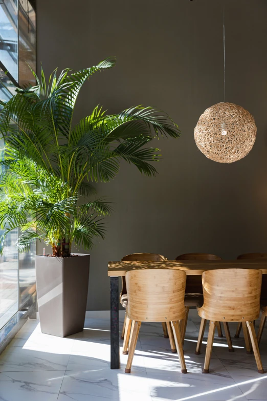 a dining room table sitting next to an indoor plant