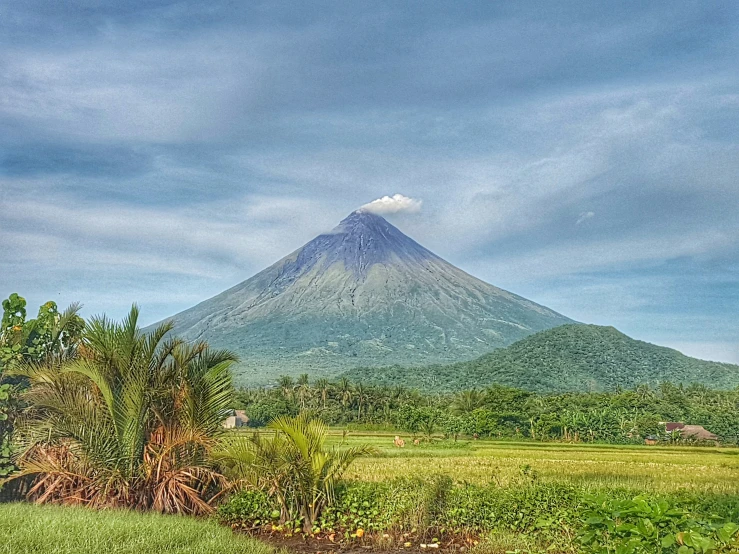 the beautiful scenery of an asian mountain