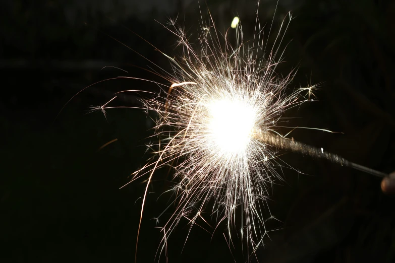 fireworks are being released to the sky during night time