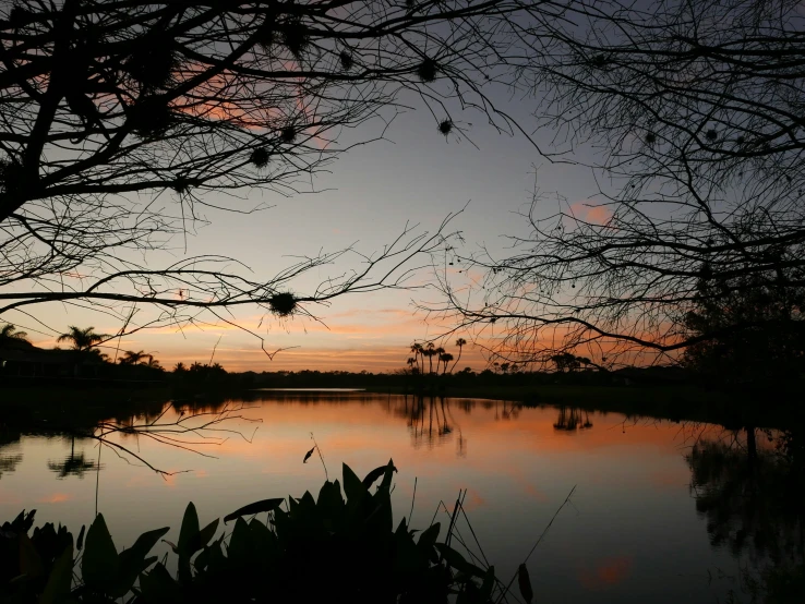 the silhouette of trees, clouds, and water are reflected in a calm lake