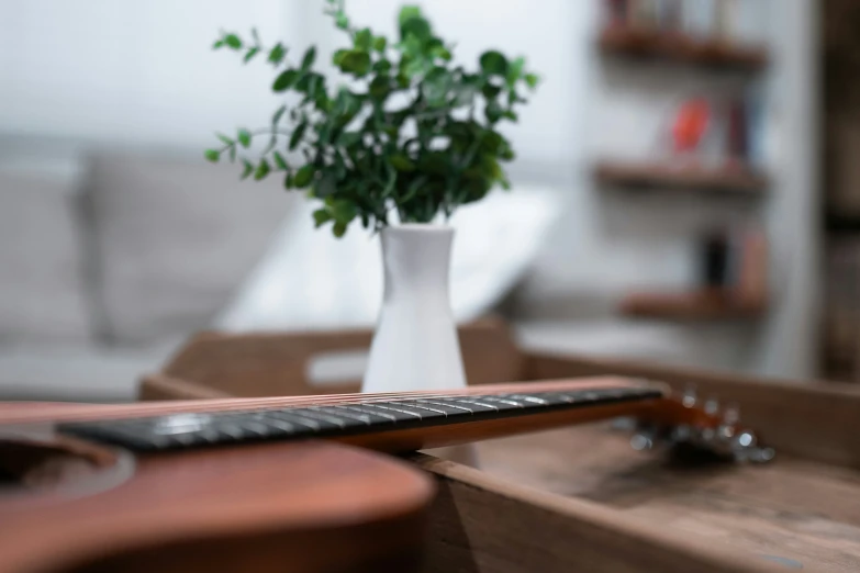 a plant sitting on top of a wooden table