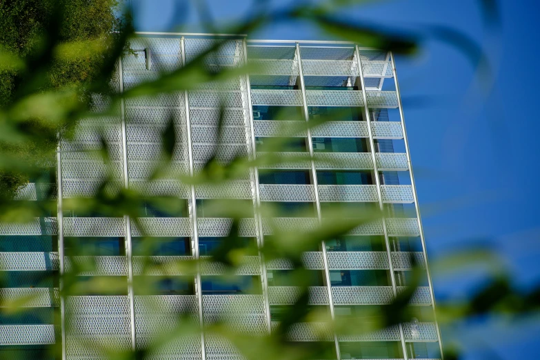 a bird flying by a building in the air