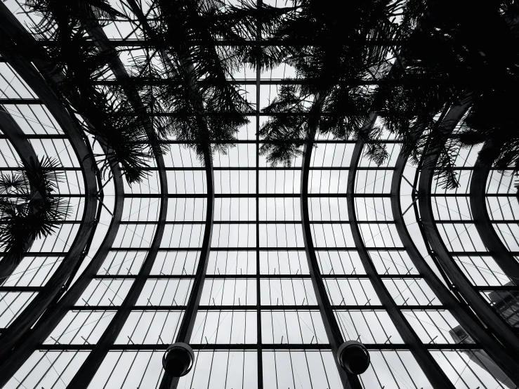 a man in black and white standing underneath a tree