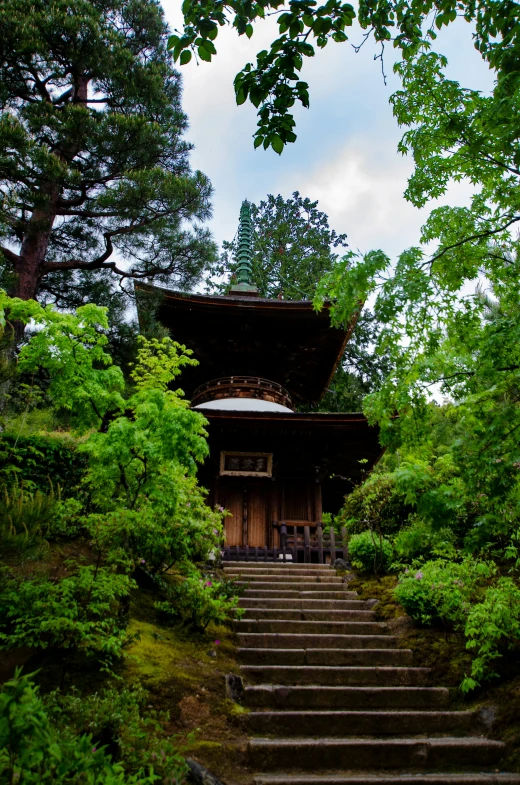 there is a tall building and some trees