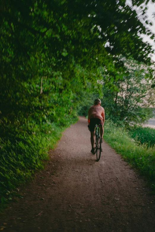 the bicyclist rides through a trail through the trees