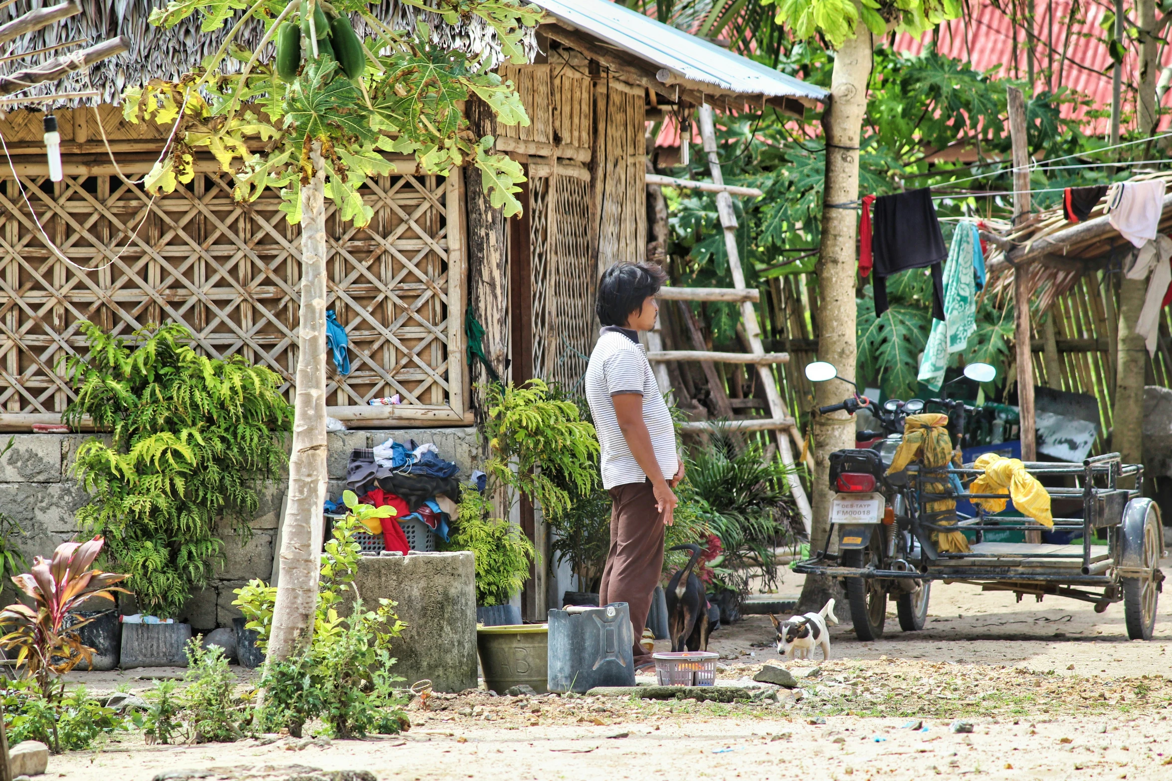 a  stands near the village house